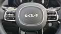 Kia Sorento 2.2 CRDi Platinum 4WD *NEUES MODELL* Бежевий - thumbnail 8
