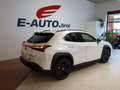 Lexus UX 250h Hybrid *BLACK&WHITE *ERSTBESITZ* GARANTIE *LEASING Weiß - thumbnail 8