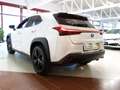 Lexus UX 250h Hybrid *BLACK&WHITE *ERSTBESITZ* GARANTIE *LEASING Weiß - thumbnail 6