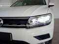 Volkswagen Tiguan 2.0 TDI 110KW ADVANCE 150 5P Blanco - thumbnail 9