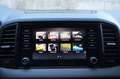 Skoda Karoq 2.0 TDI 4X4 DSG SELECTION Blu/Azzurro - thumbnail 14