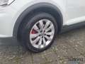 Volkswagen T-Roc 1.5 TSI Sport DSG AHK Navi ACC El. Heckkl. Weiß - thumbnail 14
