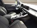 Alfa Romeo Tonale 1.6 Sprint 130cv tct6 Grigio - thumbnail 10