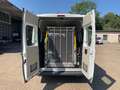 Citroen Jumper Kombi L2H2 *8 Sitzer**BEHINDERTENGERECHT* Blanco - thumbnail 8
