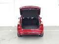 Ford Kuga 2.5 PHEV ST-LINE X AUTO 225 5P Rojo - thumbnail 8