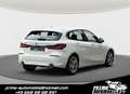 BMW 120 d xDrive Aut.*Rückfahrkamera, Spurhalteassisten... Weiß - thumbnail 5