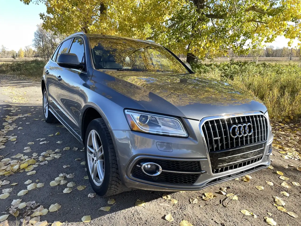 2017 Audi Q5