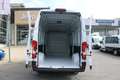 Fiat Ducato MAXI L4H3 140 10"Navi Schwingsitz Klimaa... Weiß - thumbnail 12
