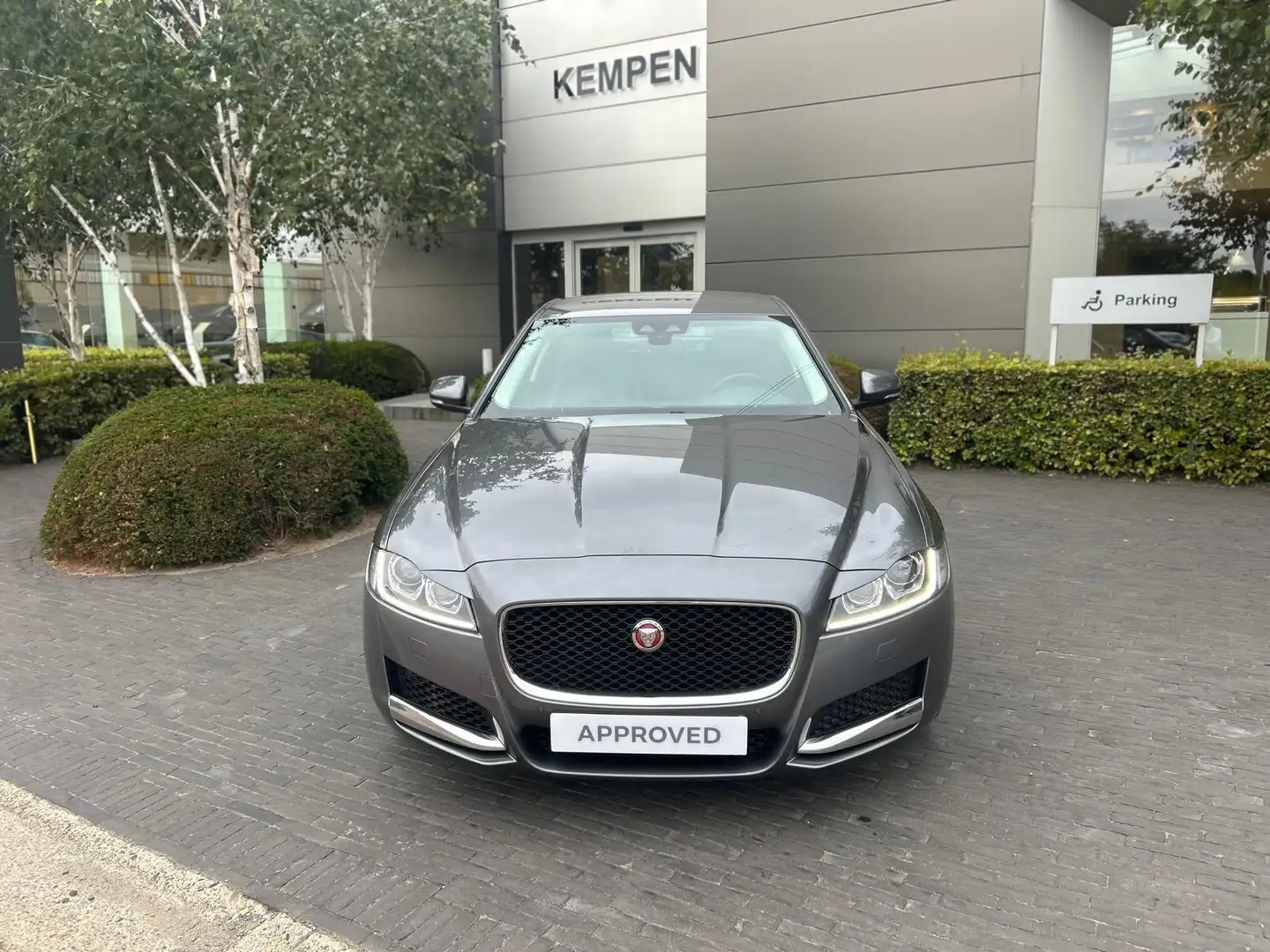 Jaguar XF 250PS Prestige Gris - 2