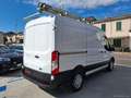 Ford Transit Tran.350 2.0 MHEV 130 PL-TM Furg.Trend PREZZO+IVA Weiß - thumbnail 5