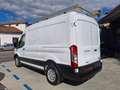 Ford Transit Tran.350 2.0 MHEV 130 PL-TM Furg.Trend PREZZO+IVA Weiß - thumbnail 3