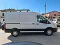 Ford Transit Tran.350 2.0 MHEV 130 PL-TM Furg.Trend PREZZO+IVA Weiß - thumbnail 6