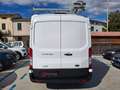 Ford Transit Tran.350 2.0 MHEV 130 PL-TM Furg.Trend PREZZO+IVA Weiß - thumbnail 4