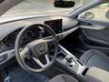 Audi A4 A4 Avant 40 2.0 tdi mhev Quattro 204cv s-tronic Bianco - thumbnail 9