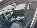 Alfa Romeo Stelvio 2.2 Turbodiesel 190 CV AT8 RWD Business Noir - thumbnail 9