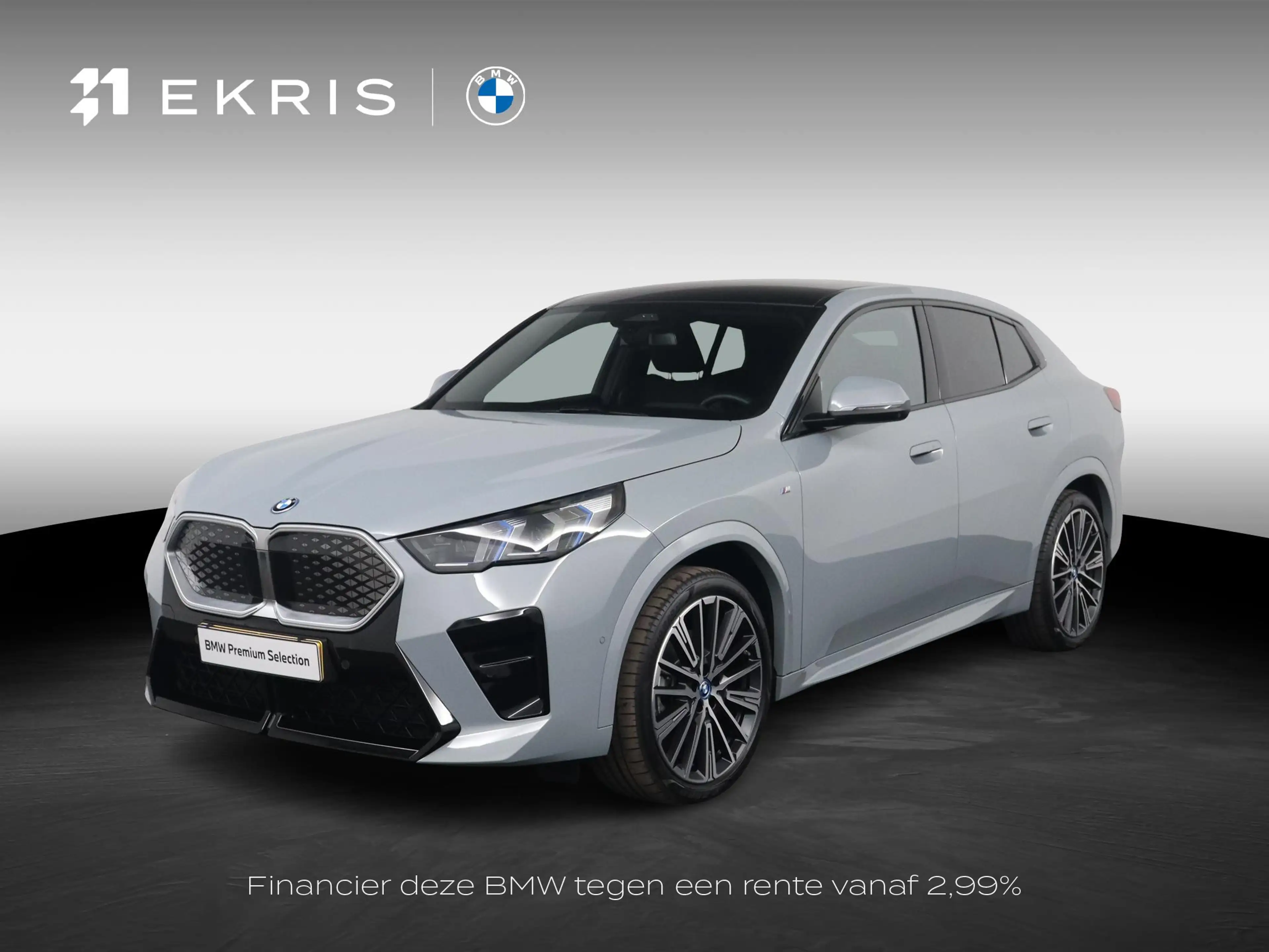 BMW iX2 xDrive30 67 kWh M Sport Edition | Panoramadak | St