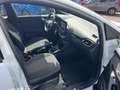 Ford Puma 1.0i Ecoboost 95pk Connected , Carplay , DAB , Air Blanc - thumbnail 13