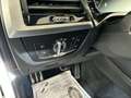 BMW X3 xDrive30d Aut. M-Paket Weiß - thumbnail 17