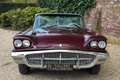 Ford Thunderbird Convertible V8 352 ci Presented in the factory col Rood - thumbnail 5