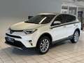 Toyota RAV 4 RAV4 Hybrid Executive Weiß - thumbnail 1
