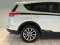 Toyota RAV 4 RAV4 Hybrid Executive Weiß - thumbnail 14