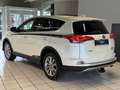 Toyota RAV 4 RAV4 Hybrid Executive Weiß - thumbnail 4