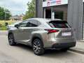 Lexus NX 300h 300 Hybrid 4WD F-Sport Gris - thumbnail 3