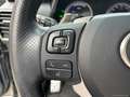 Lexus NX 300h 300 Hybrid 4WD F-Sport Gris - thumbnail 17
