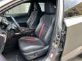 Lexus NX 300h 300 Hybrid 4WD F-Sport Gris - thumbnail 12