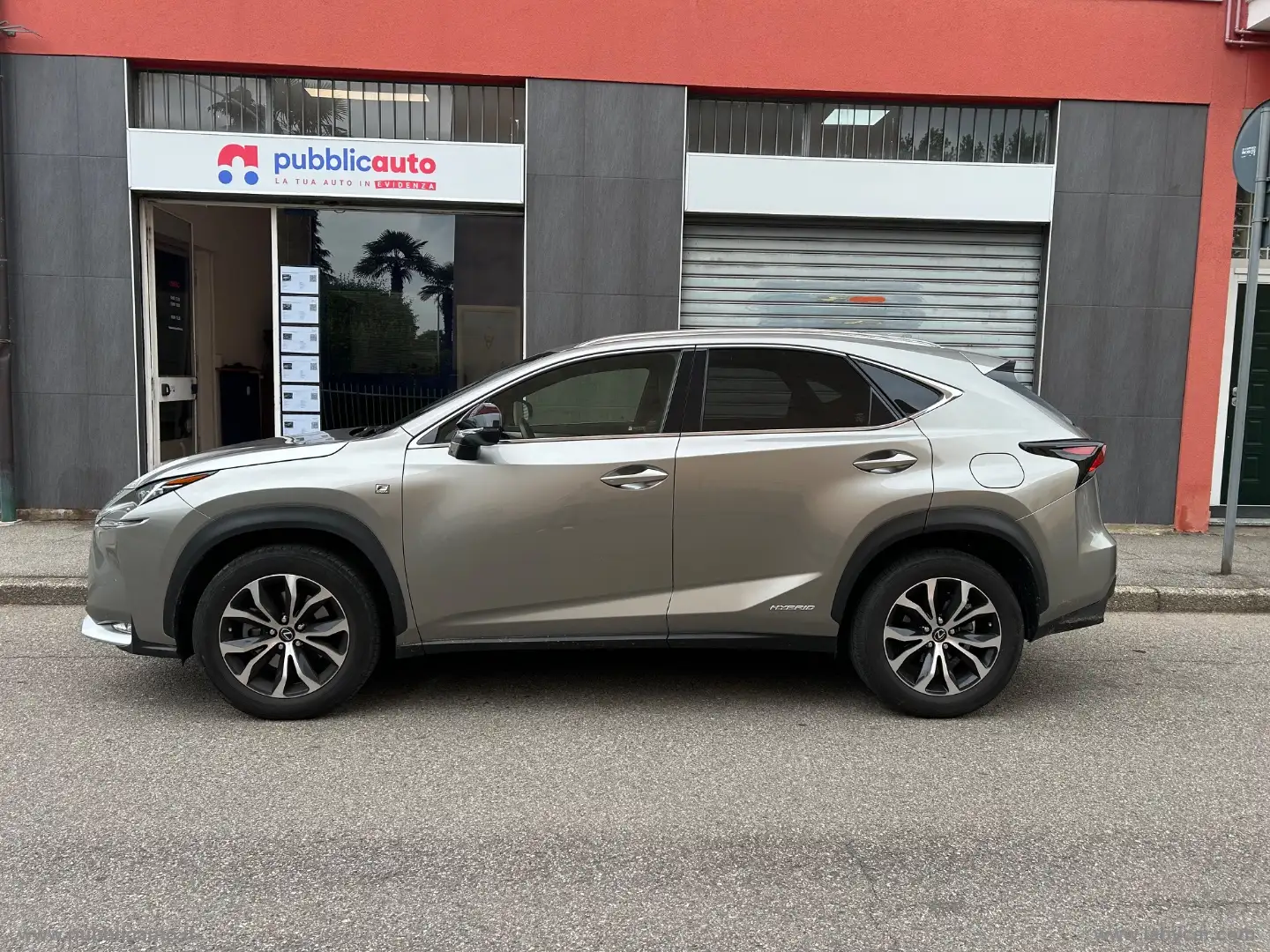 Lexus NX 300h 300 Hybrid 4WD F-Sport Grau - 2