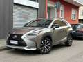 Lexus NX 300h 300 Hybrid 4WD F-Sport Grau - thumbnail 1