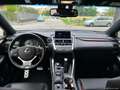 Lexus NX 300h 300 Hybrid 4WD F-Sport Gris - thumbnail 15