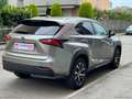 Lexus NX 300h 300 Hybrid 4WD F-Sport Gris - thumbnail 5