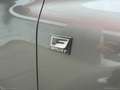 Lexus NX 300h 300 Hybrid 4WD F-Sport Grau - thumbnail 28