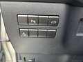 Lexus NX 300h 300 Hybrid 4WD F-Sport Gris - thumbnail 23