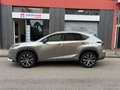 Lexus NX 300h 300 Hybrid 4WD F-Sport Grau - thumbnail 2