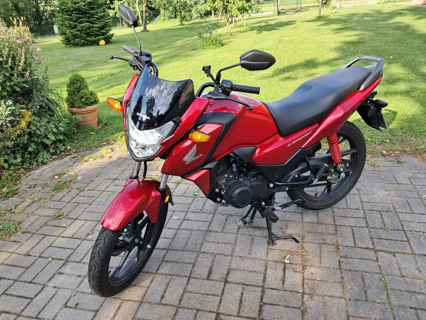 Honda CBF 125 1.Hand* 2024* wenig KM Rouge - 1