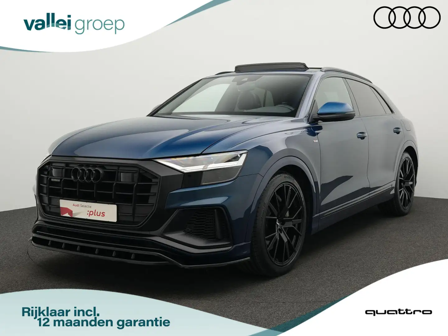 Audi Q8 55 TFSI e 381 pk tiptronic quattro Pro Line S / | Blauw - 1