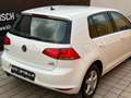Volkswagen Golf Comfortline 1,2 TSI DSG Automatik Navigation Weiß - thumbnail 44
