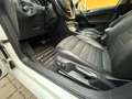 Volkswagen Golf Comfortline 1,2 TSI DSG Automatik Navigation Weiß - thumbnail 13