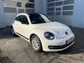 Volkswagen Beetle 2,0 TSI Sport DSG/Automatik Weiß - thumbnail 3