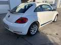 Volkswagen Beetle 2,0 TSI Sport DSG/Automatik Weiß - thumbnail 6