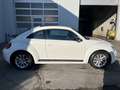 Volkswagen Beetle 2,0 TSI Sport DSG/Automatik Weiß - thumbnail 4