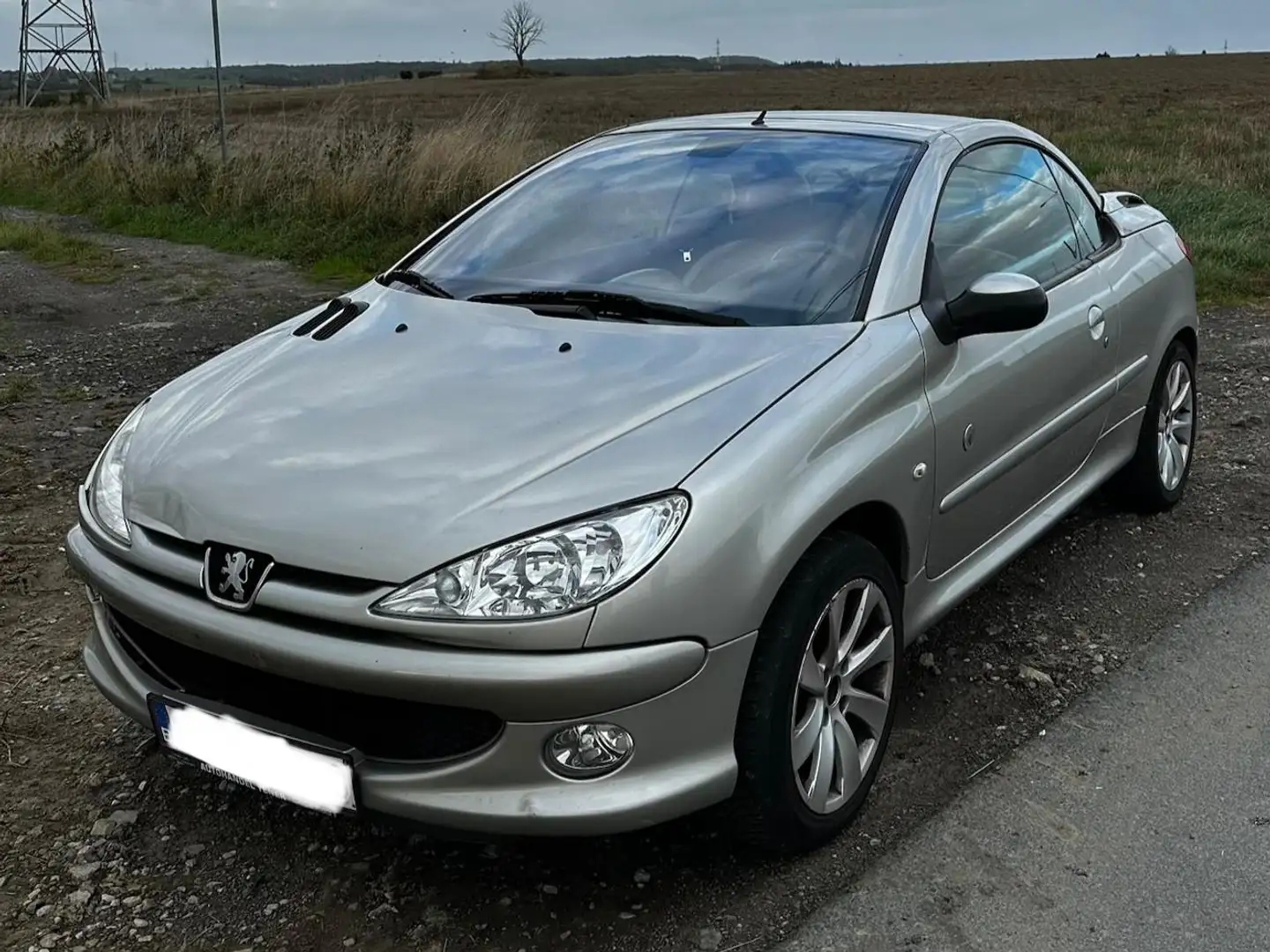 Peugeot 206 206 CC 1.6i 16v Roland Garros Argent - 1