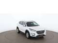 Hyundai TUCSON 1.6 CRDi Trend Aut AHK NAVI SITZHZG R-CAM Weiß - thumbnail 6