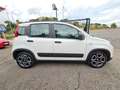 Fiat Panda Panda III 2021 1.0 firefly hybrid City Life s Blanc - thumbnail 2