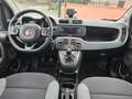 Fiat Panda Panda III 2021 1.0 firefly hybrid City Life s Blanc - thumbnail 12
