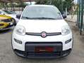 Fiat Panda Panda III 2021 1.0 firefly hybrid City Life s Blanc - thumbnail 3