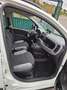 Fiat Panda Panda III 2021 1.0 firefly hybrid City Life s Blanc - thumbnail 15