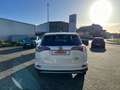 Toyota RAV 4 2.5 4x2 Hybrid Executive Blanc - thumbnail 6